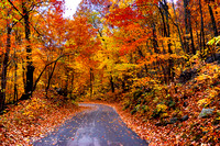 Fall at Chimney Rock Park